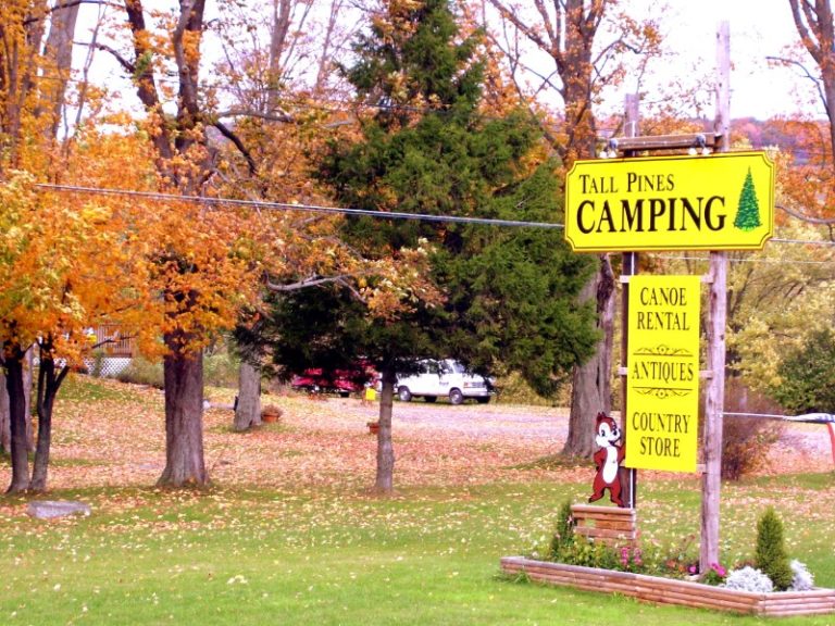 Tall Pines Campground Sign