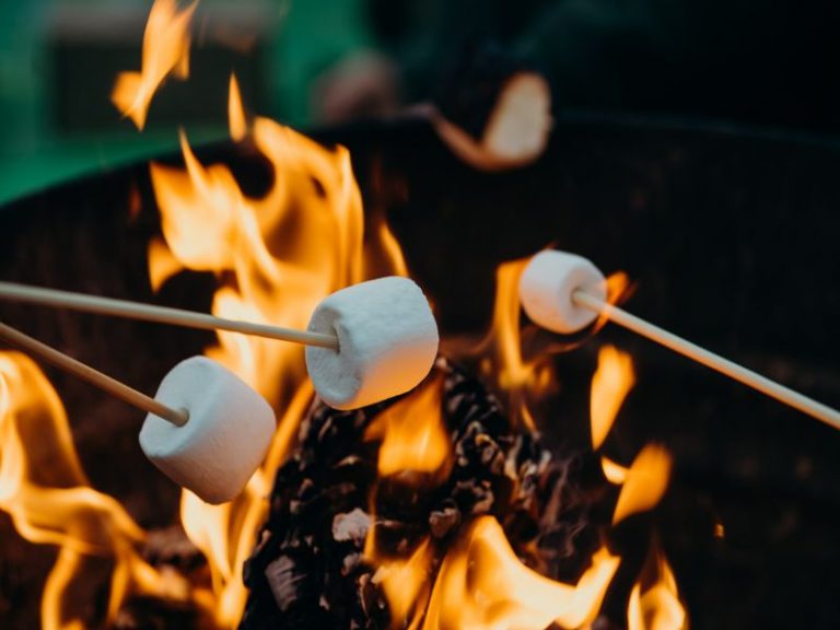 Marshmallow Roast at Tall Pines event venue